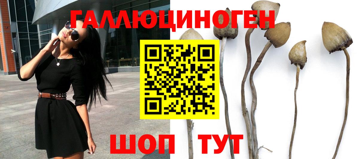 Псилоцибиновые грибы MAGIC MUSHROOMS  что такое наркотик  Шарыпово  Вход с VPN 